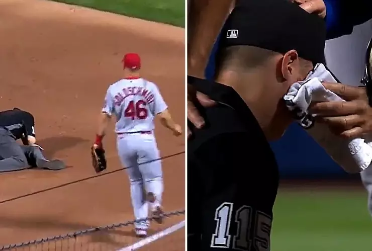 beisbol_pelotazo_arbitro