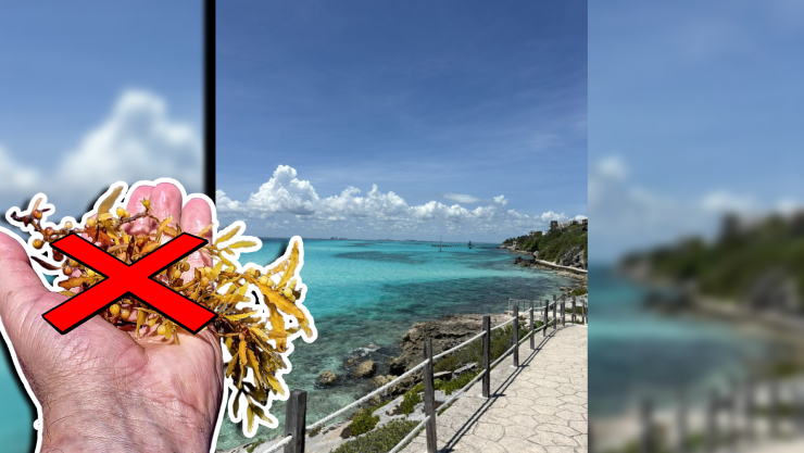 Estas son las playas sin sargazo en Cancún, Isla Mujeres, Holbox, Puerto Morelos, Playa del Carmen y Cozumel hoy 30 de septiembre de 2025.jpg