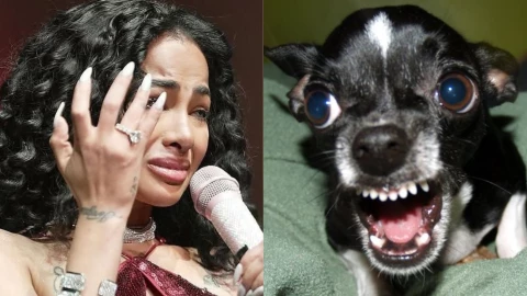 VIDEO: Famosa cantante de reggaetón es atacada por perro en pleno concierto; así quedó grabado