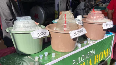 garrafas de pulque de distintos sabores dentro de tinas con hielo