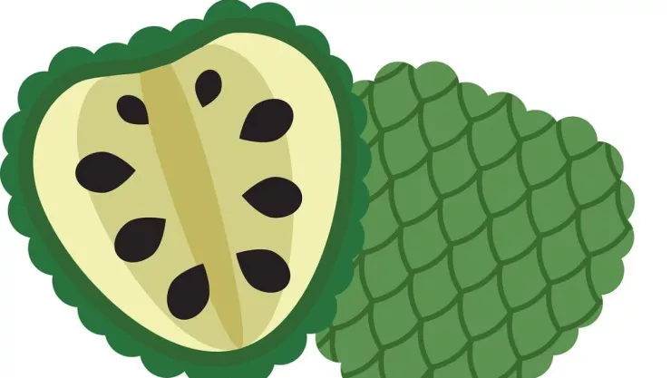 /estilo-de-vida/como-te-ayuda-beber-te-guanabana-natural