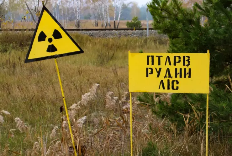 En Chernóbil: Este animal fue inmune a la radiación y asombró a todos