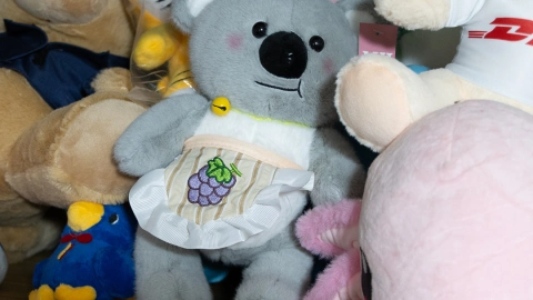Pelutxito Xonacatlán un koala hecho peluche