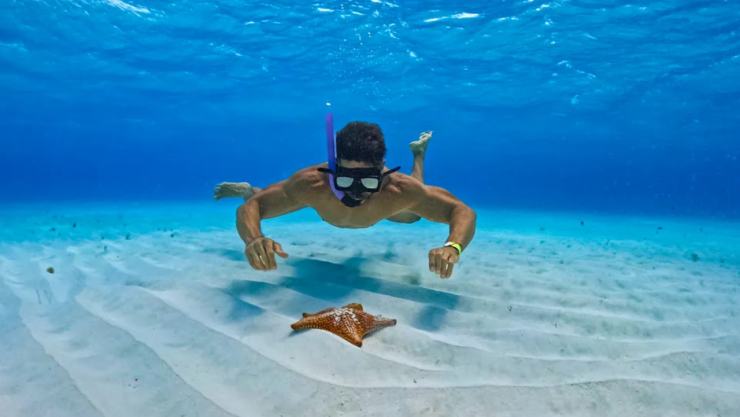 La playa de Quintana Roo donde es más probable que veas estrellas de mar fácil