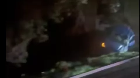 Accidente San Cristóbal de las Casas