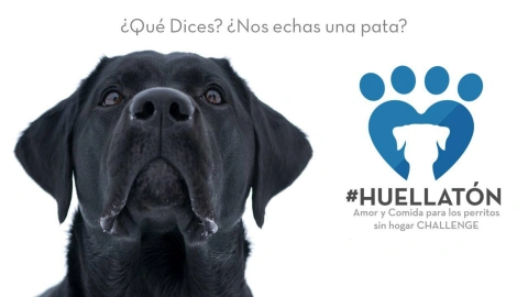 El Challenge altruista es lo de hoy, afirman jóvenes