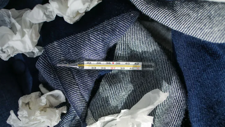 Confirman primer caso del virus Bourbon transmitido por garrapatas; ¿Qué es y cuáles son los síntomas?