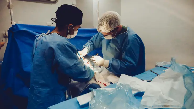 Doctores