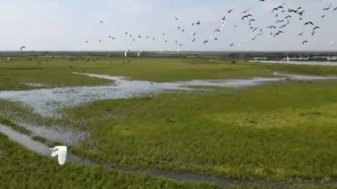 Lago de Texcoco Área Natural Protegida