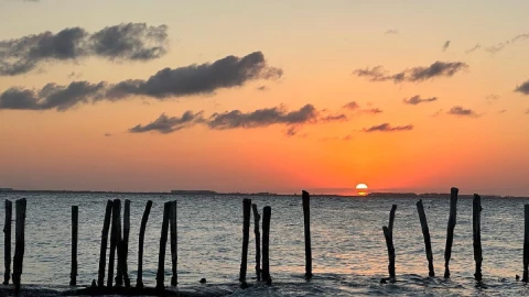 ¿Viajas al Caribe Mexicano Estas son las 10 mejores playas de Quintana Roo