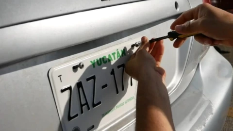 Reemplacamiento en Yucatán 2025: ¿Qué personas tienen preferencia durante el trámite?