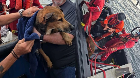 Rescate de perrito que nadaba en el mar a cuatro millas de Coatzacoalcos, Veracruz