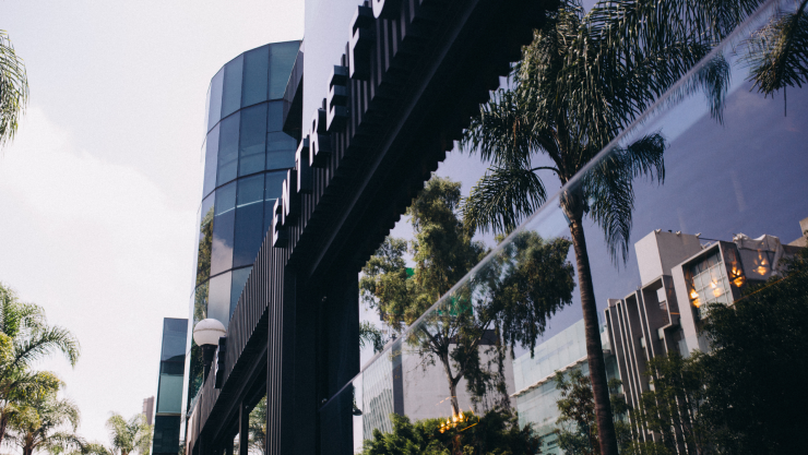 barrios CDMX marcas diseñador