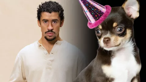 Perrito celebra su cumpleaños con fiesta temática de Bad Bunny y se vuelve viral en México