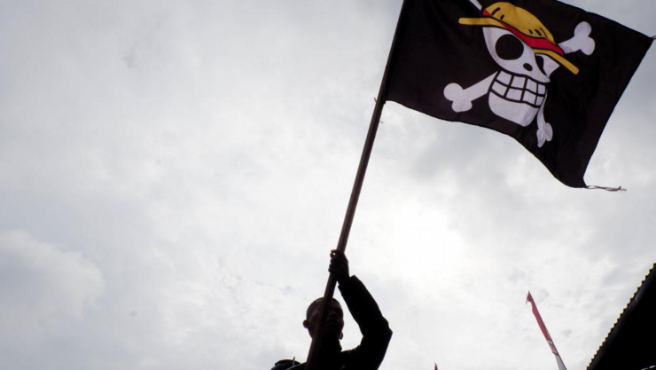 bandera de ‘One Piece’