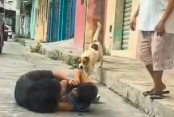 Ni la intervención de una mujer mayor ni un perro lograron calmar a las involucradas