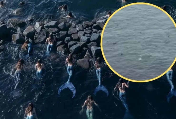 Sirenas en rompeolas