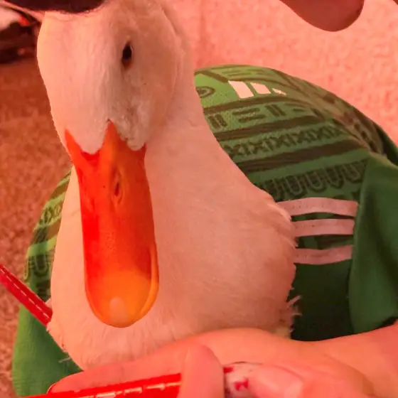 Pato “Merlín” y Cristian, hermanos inseparables