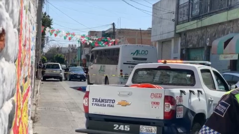 Atropellada en Celaya.png