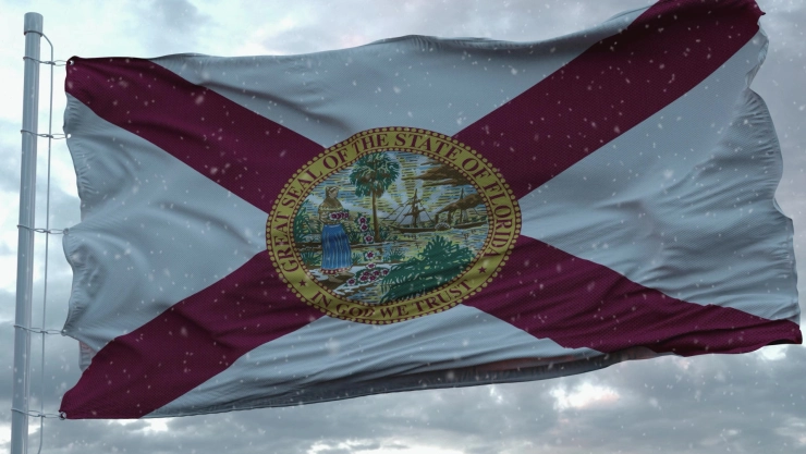 Bandera del estado de Florida en medio de un clima invernal