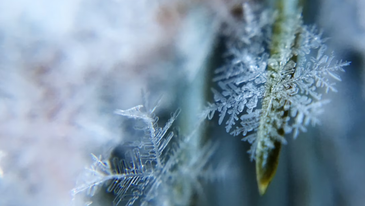 ¿Cómo será el invierno 2025-2026 en BC? Pronóstico de octubre a enero