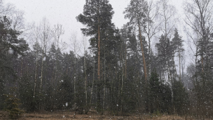 Aguanieve en Chihuahua
