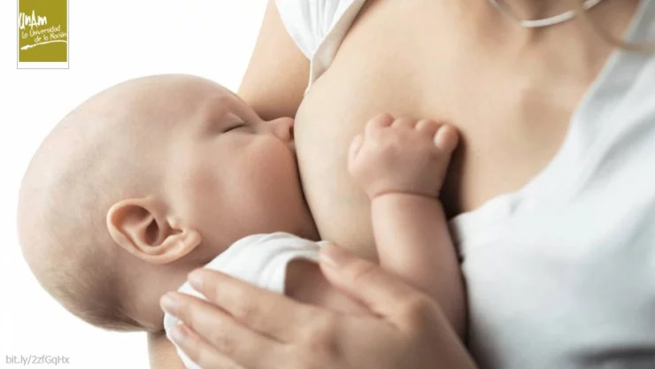 Lactancia materna datos, beneficios y recomendaciones