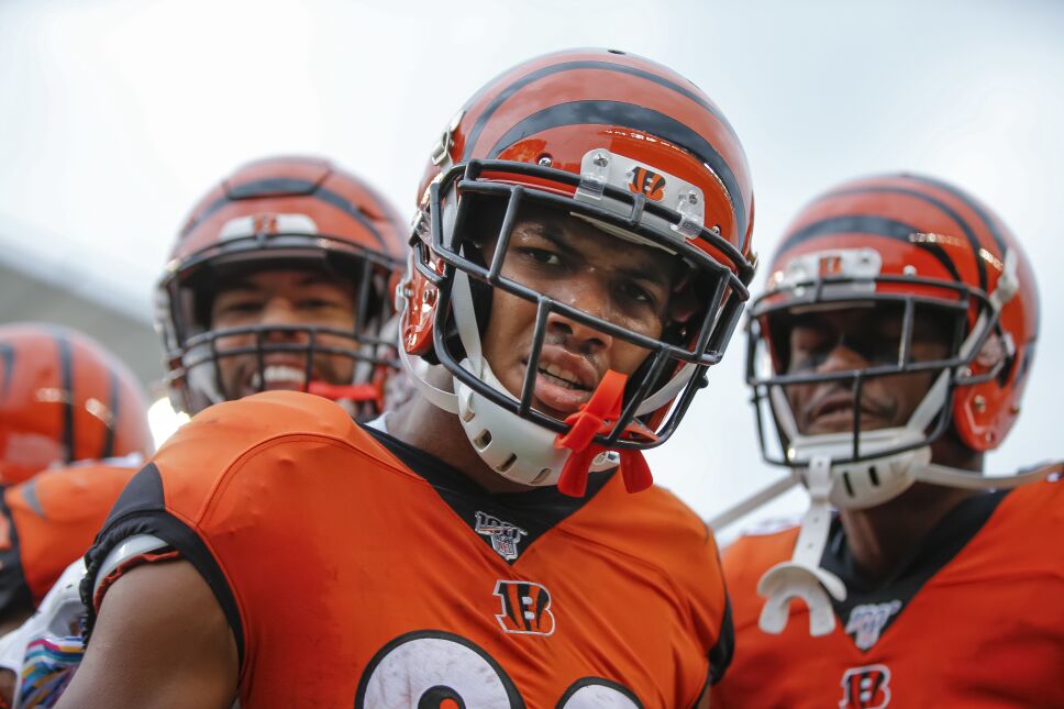 Arizona Cardinals v Cincinnati Bengals
