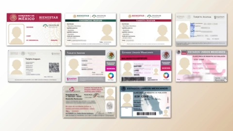 Edad mínima en 2025 y requisitos para tramitar la credencial del INAPAM