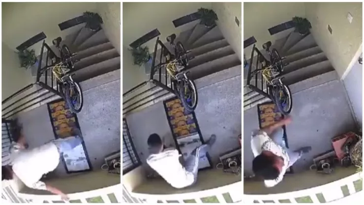 hombre-golpea-lanza-perro-segundo-piso-huejotzingo-lomito