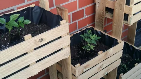 Reutiliza tus cajas de verdura para hacer un huerto en casa