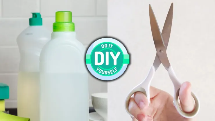 /estilo-de-vida/DIY-envases-de-lavatrastes-vacios-ideas-decorativas