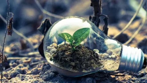 tierra suelo plantas