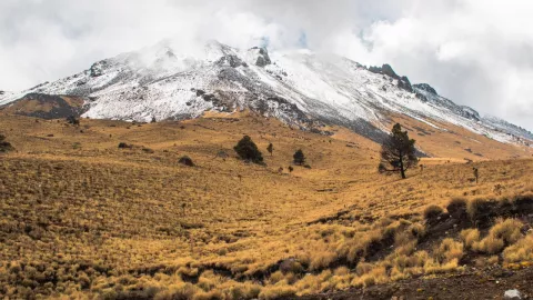 Estados que afectará la onda gélida en México