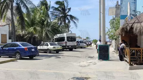 Pelea de dos _Viene Viene_ deja a uno de ellos con serias lesiones en Progreso