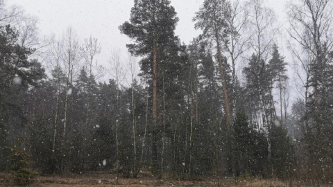 Aguanieve en Chihuahua