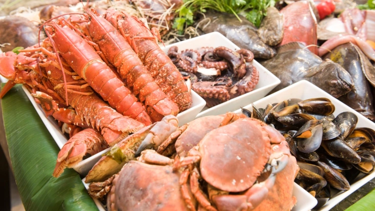 Dónde están los 5 mejores buffets de mariscos en Guadalajara para comer todo lo que quieras