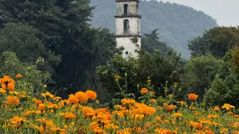 Dia de muertos en Veracruz.