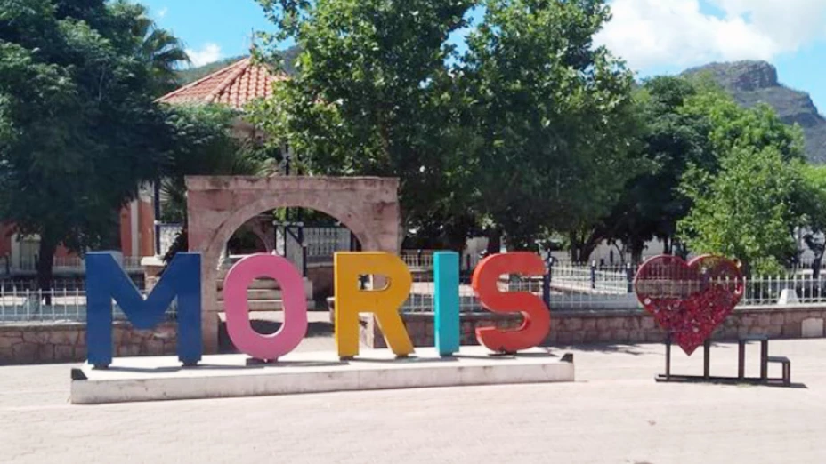 Moris Chihuahua.jpg