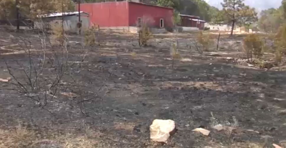 Falta reforestación tras incendio en Sierra de Santiago.png