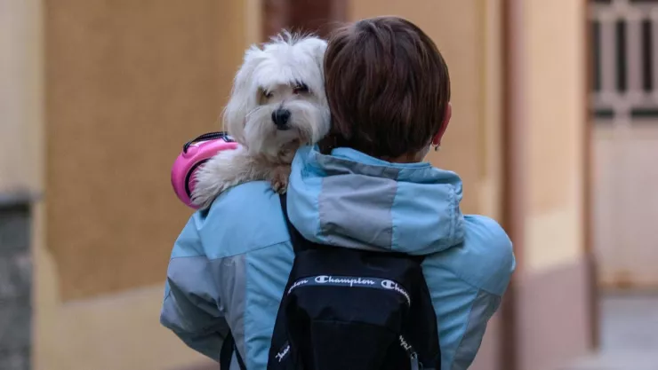 Lo que debe contener la mochila de vida de nuestra mascota en caso de sismo