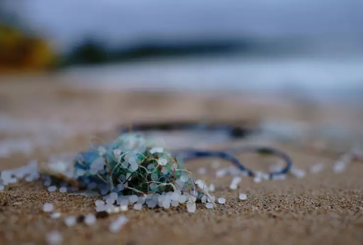 microplasticos-testiculos-estudio