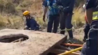 yegua cae a registro