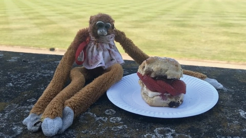 La reina Isabel devuelve un mono de juguete perdido a una niña australiana