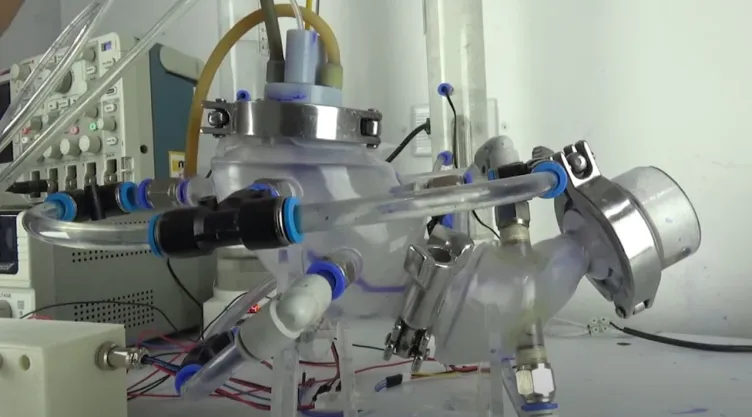 investigadores-la-unam-crean-estomago-artificial-exito.jpg