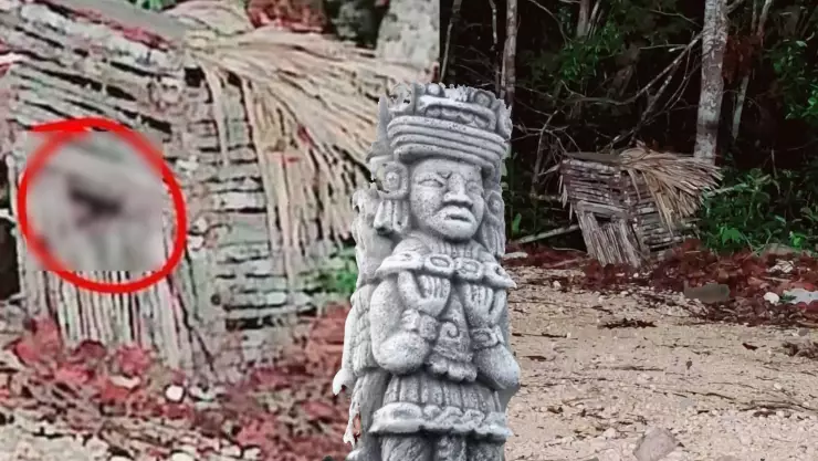 FOTOS_ Avistamiento de aluxe en Aeropuerto de Tulum desata polémica en redes.jpg