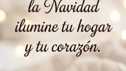 FELIZ NAVIDAD Y FELICES FIESTAS ELEGANTE