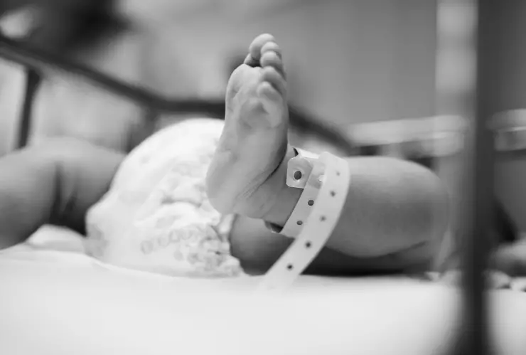 Imagen ilustrativa, Pixabay