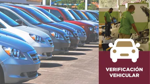 Edomex: ¿Qué autos deben hacer la verificación vehicular en ENERO 2025?