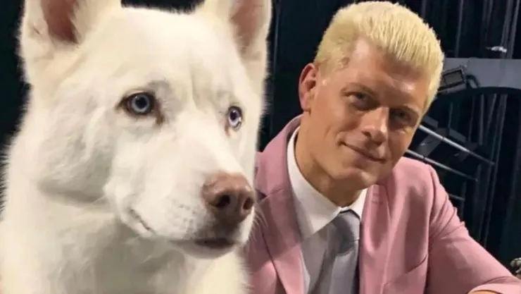 Cody Rhodes se despide de su perro Pharaoh